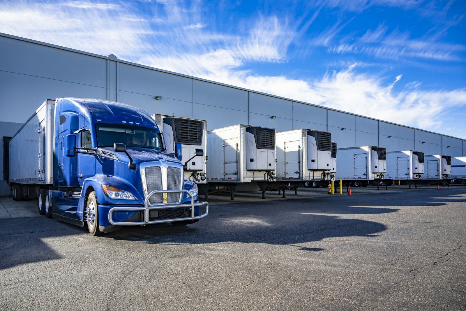 Storage Solutions Chess Moving Perth